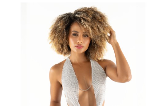 Blusa Plateada Selenia Lerot